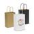 T10758 - Paper Carry Bag - Small 