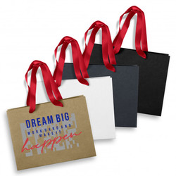 T125057 - Medium Ribbon Handle Paper Bag